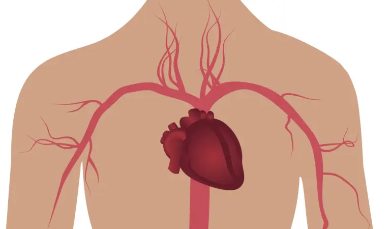 Depositphotos_234559870_L