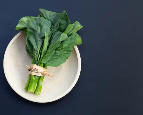 shutterstock_1896583186