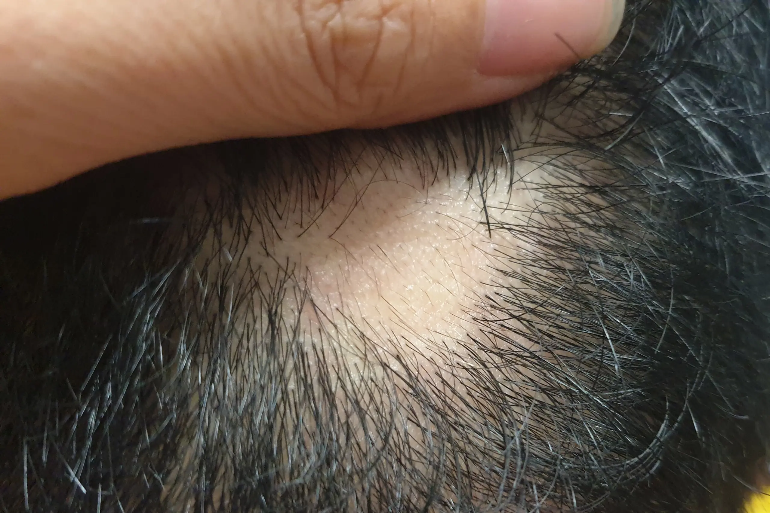 shutterstock_1509612893