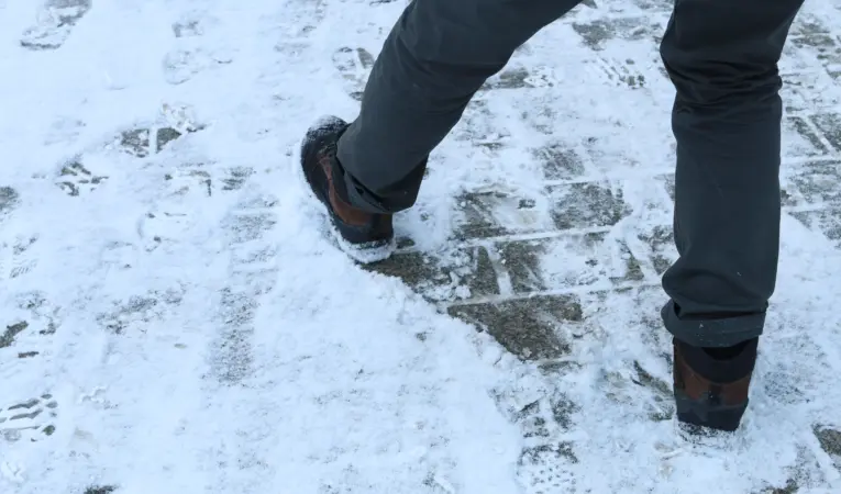 shutterstock_2111491004