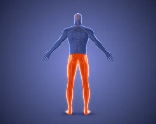 shutterstock_2366371795