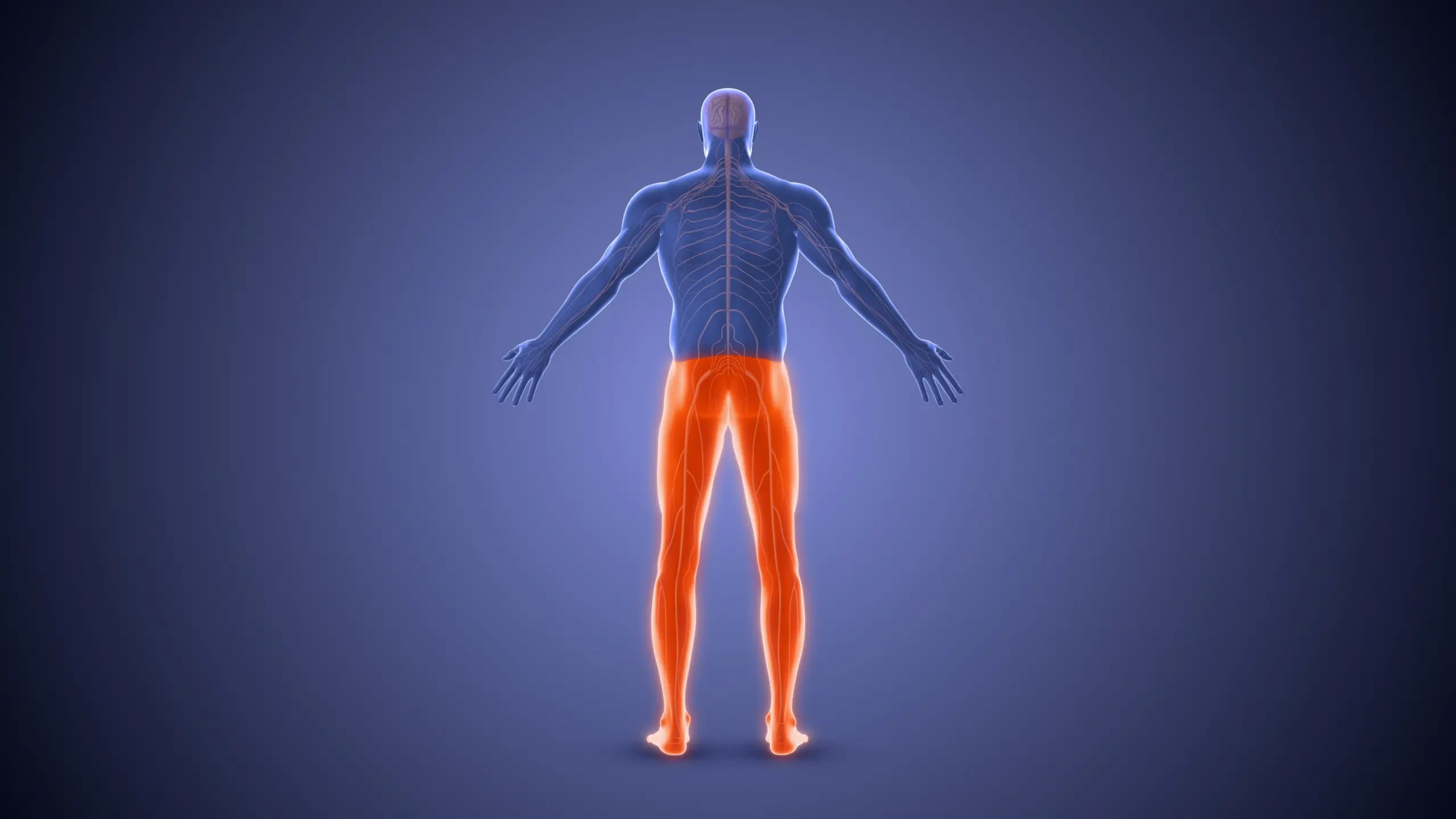 shutterstock_2366371795