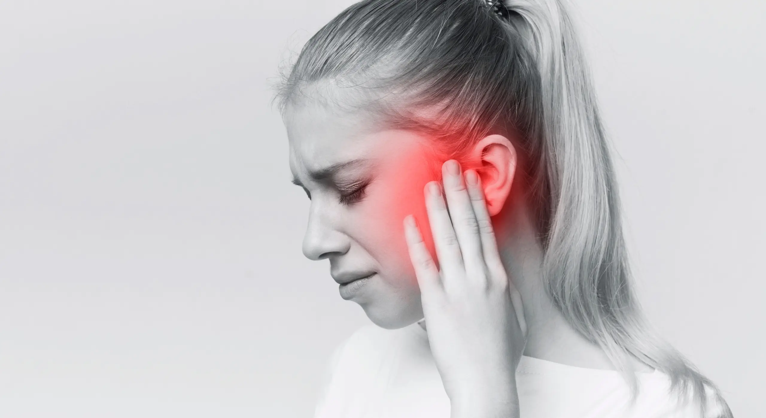 shutterstock_2550479385