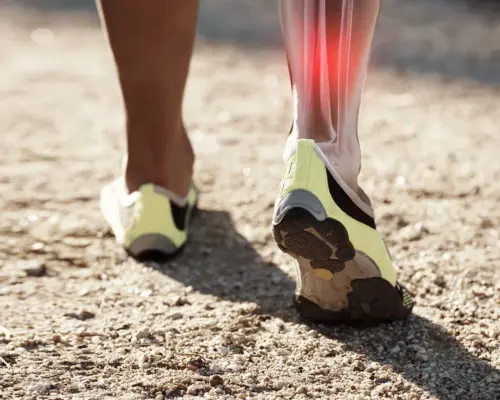 shutterstock_2254585461