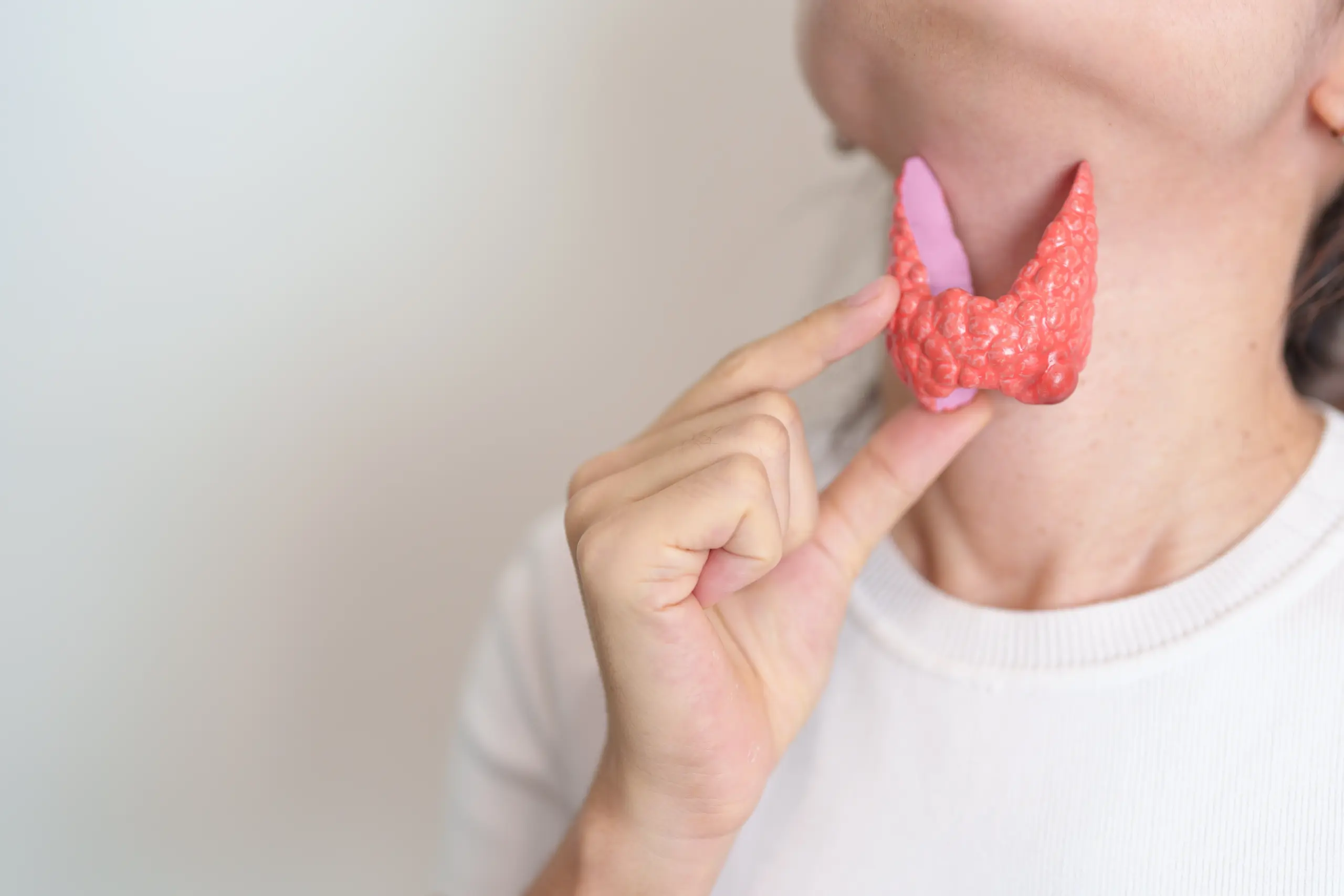 shutterstock_2433991871