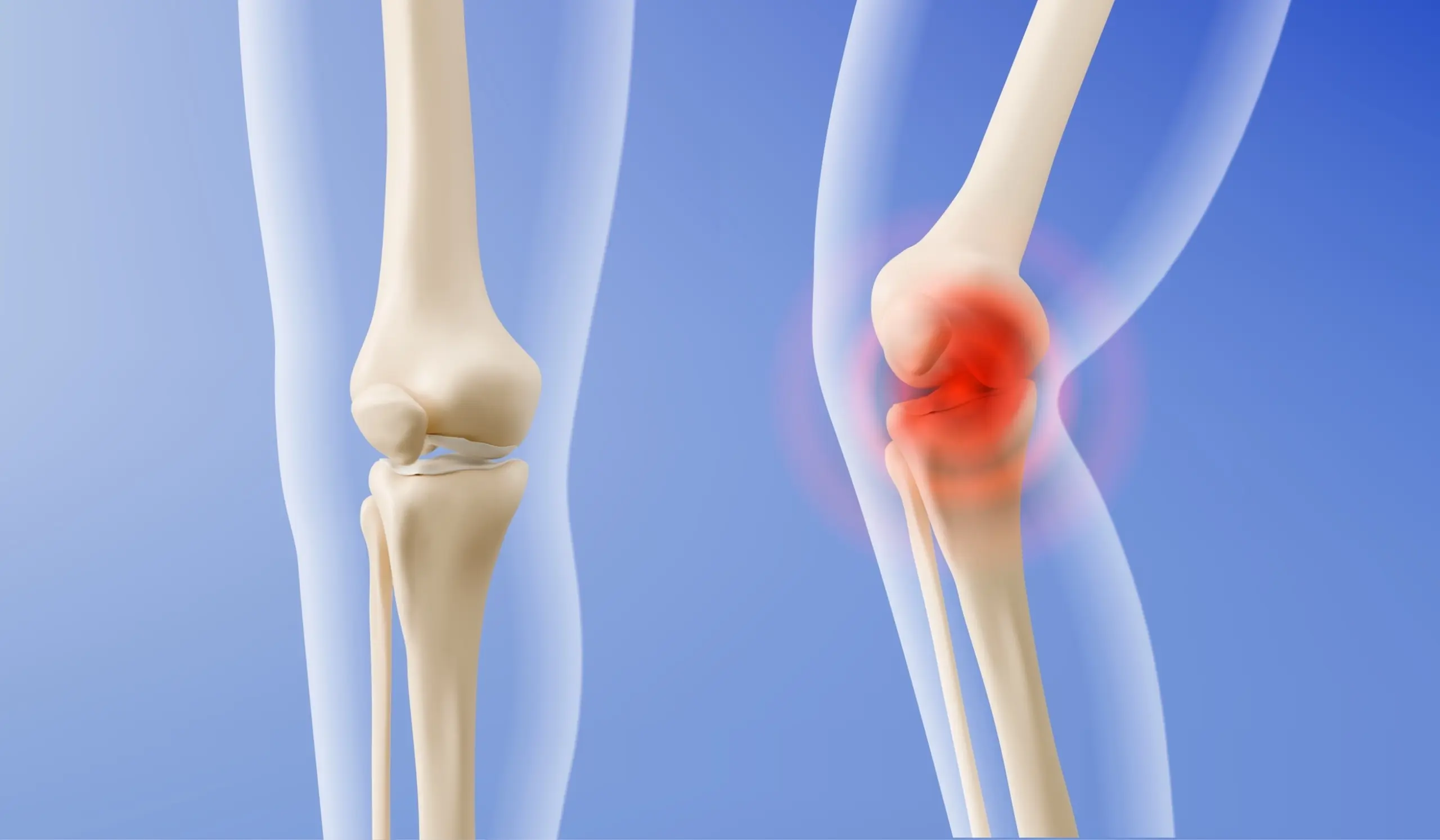 shutterstock_2654475679