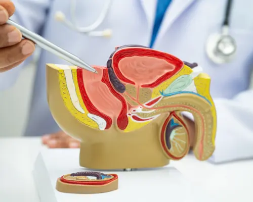 shutterstock_2685504289