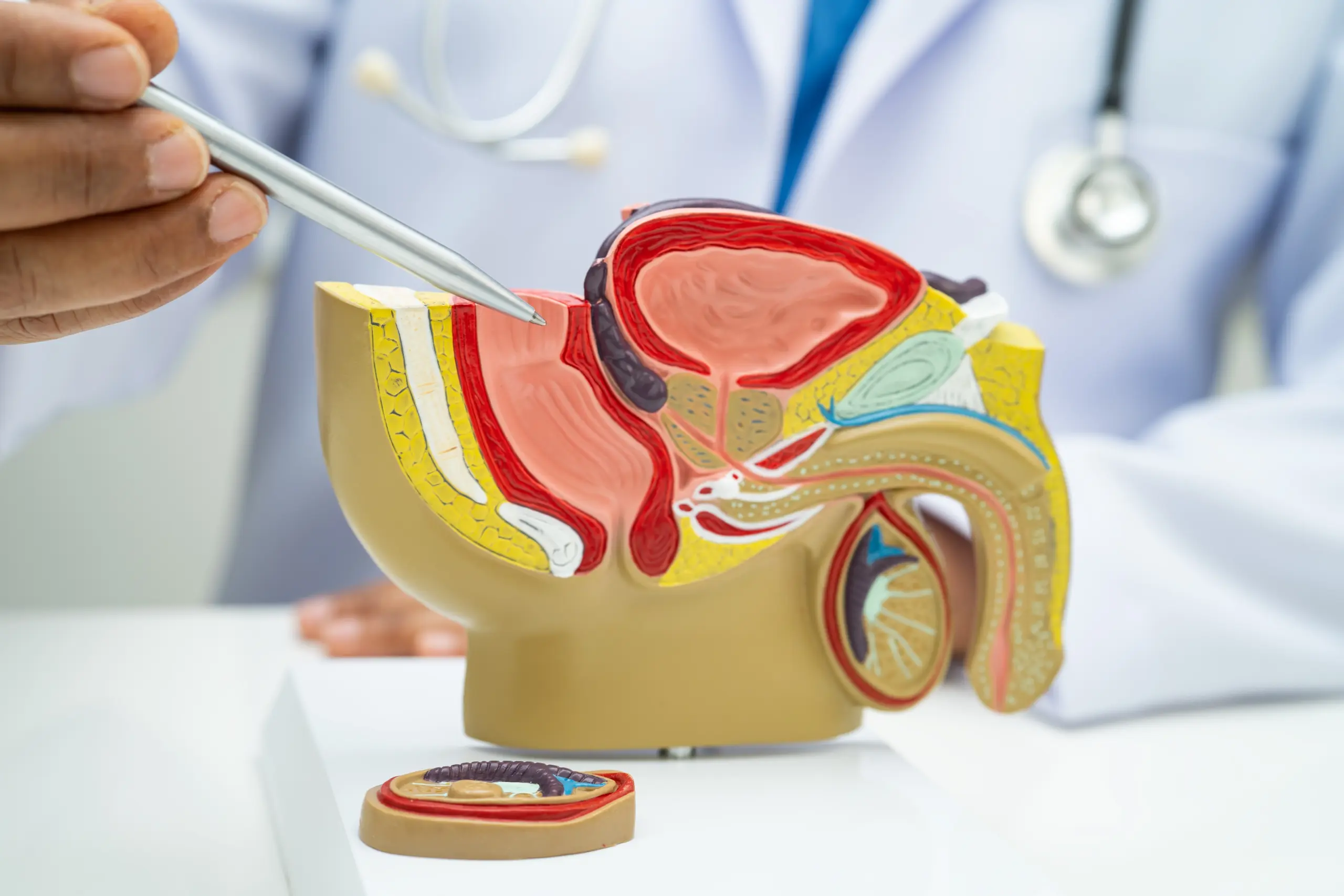 shutterstock_2685504289