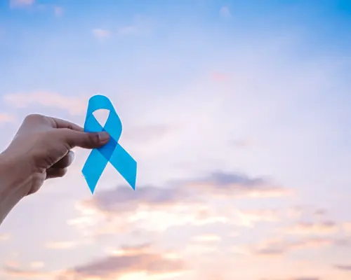 shutterstock_2231318341