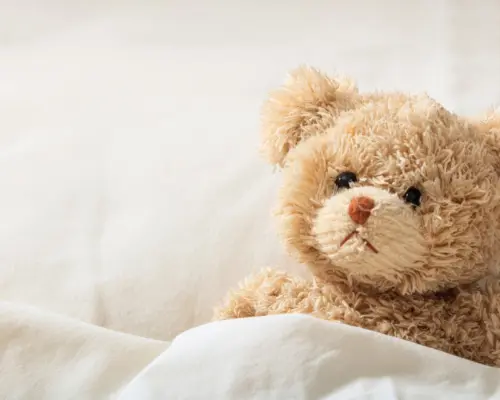 shutterstock_2314028933