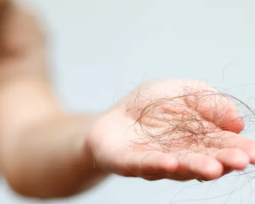 shutterstock_2665923847