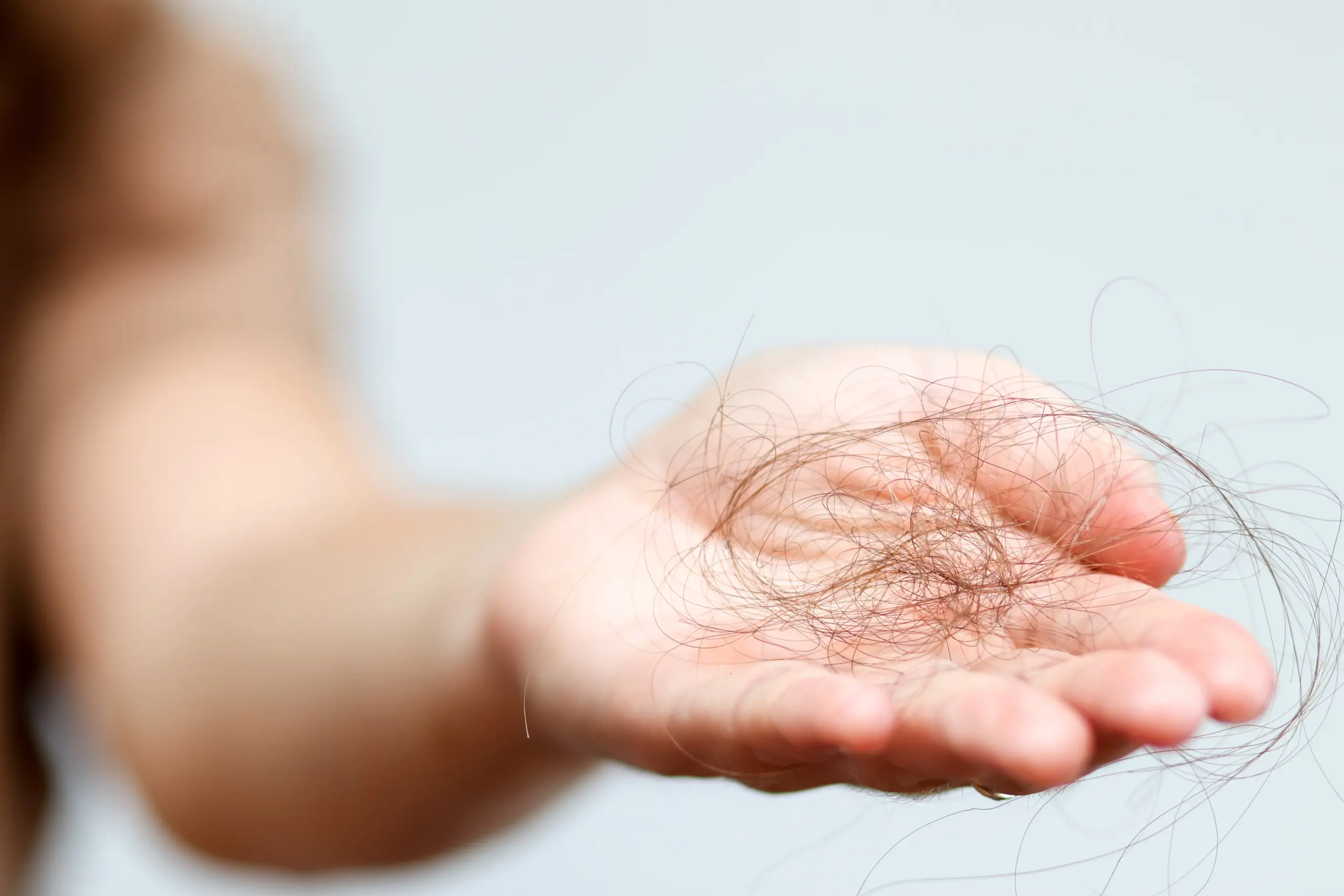 shutterstock_2665923847