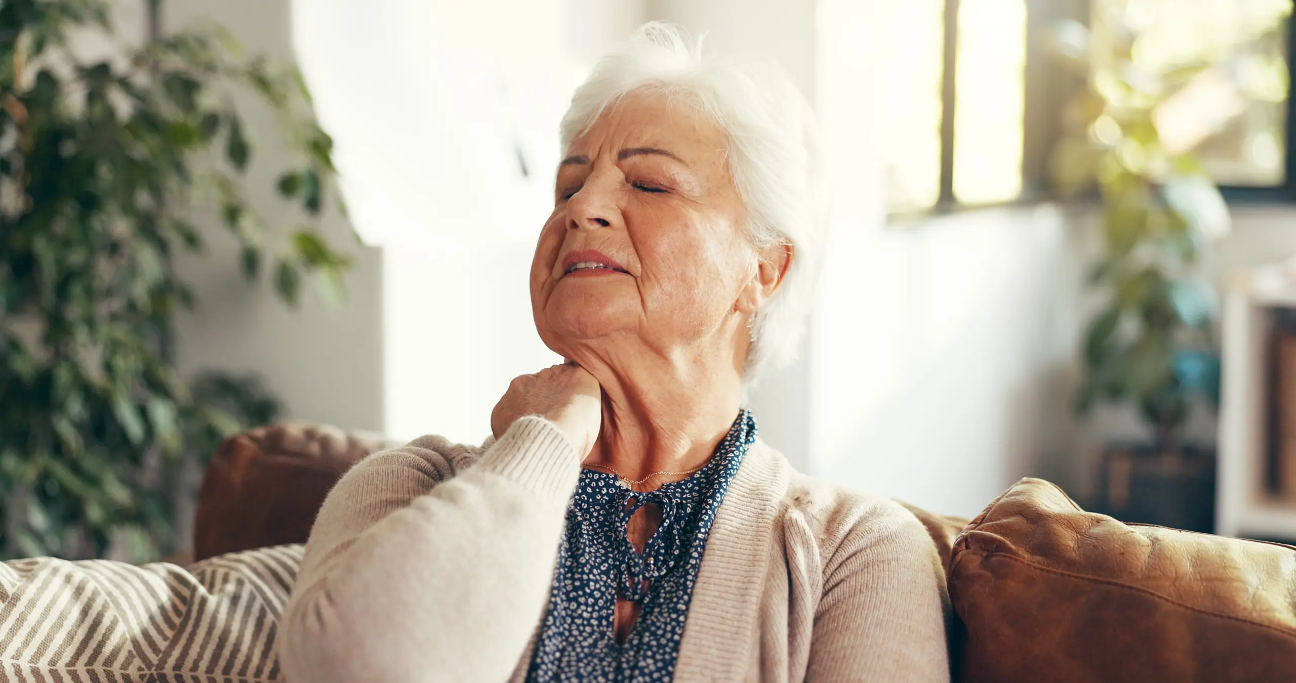 shutterstock_2678864681