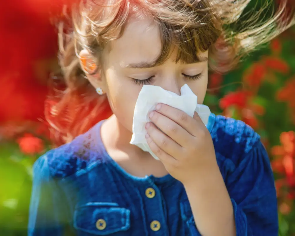 shutterstock_1454227460