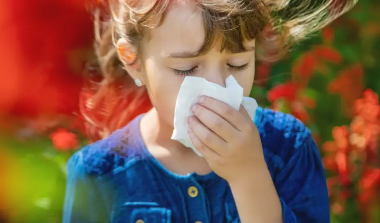 shutterstock_1454227460